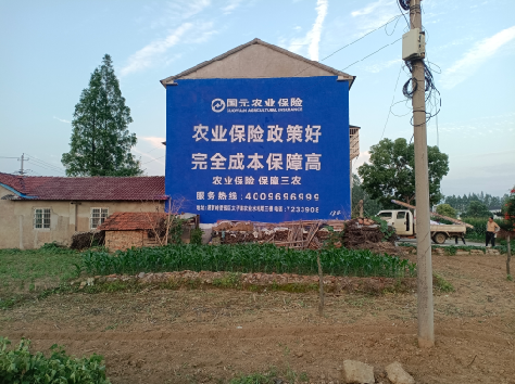 盈江墙体广告的优劣势你知道吗?